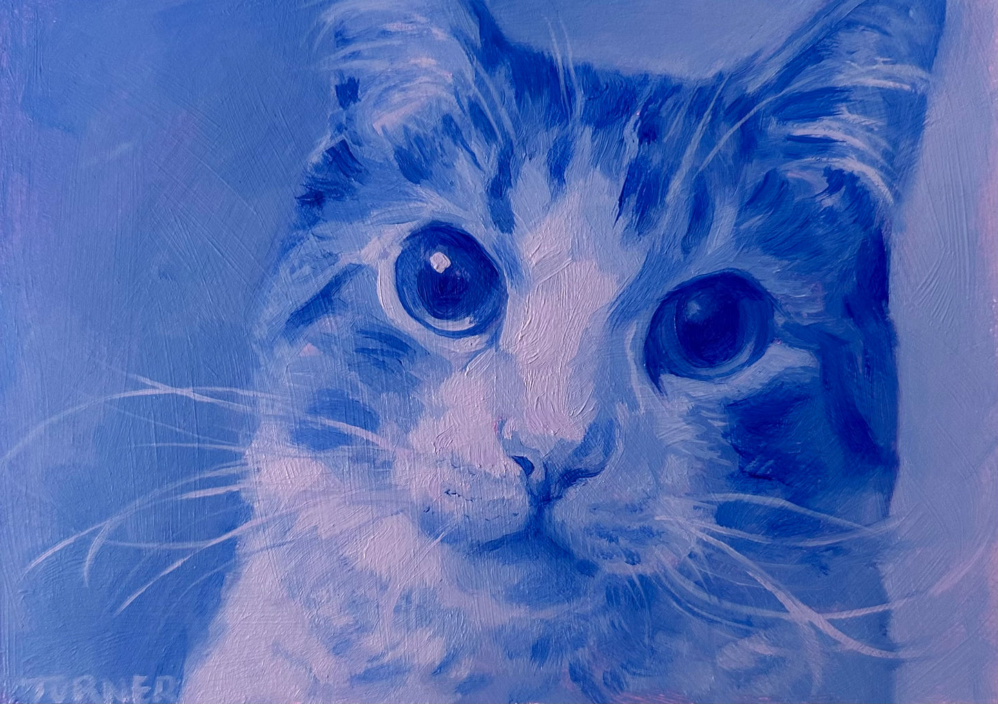 Custom Pet Portrait Color Study - oil painting on panel