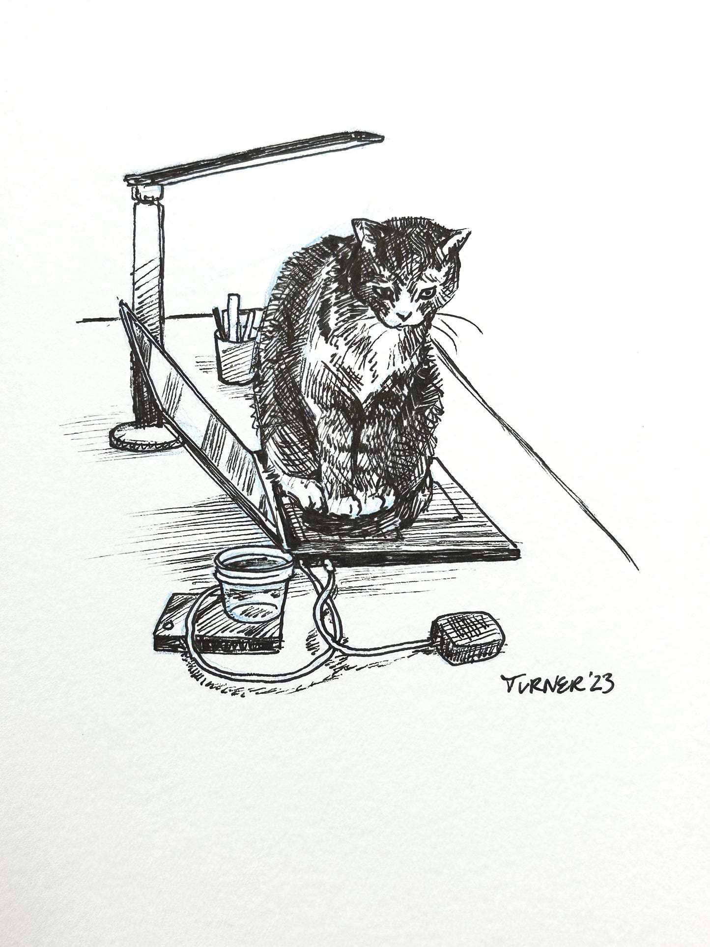 Working Hard or Hardly Working? original 5 x 7 inch ink drawing
