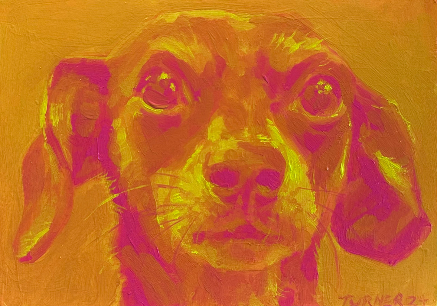 Custom Pet Portrait Color Study - oil painting on panel