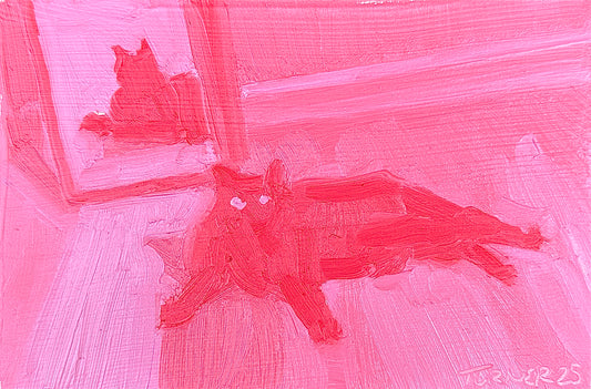 Mirror Cat - 4 x 6 inch original oil on panel