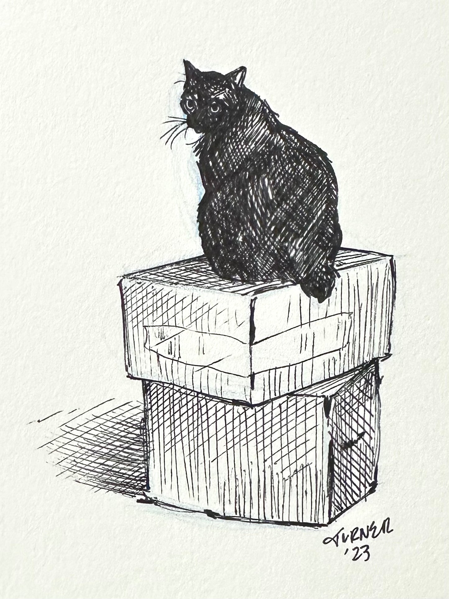 A Place to Put My Tail, original 5 x 7 inch ink drawing