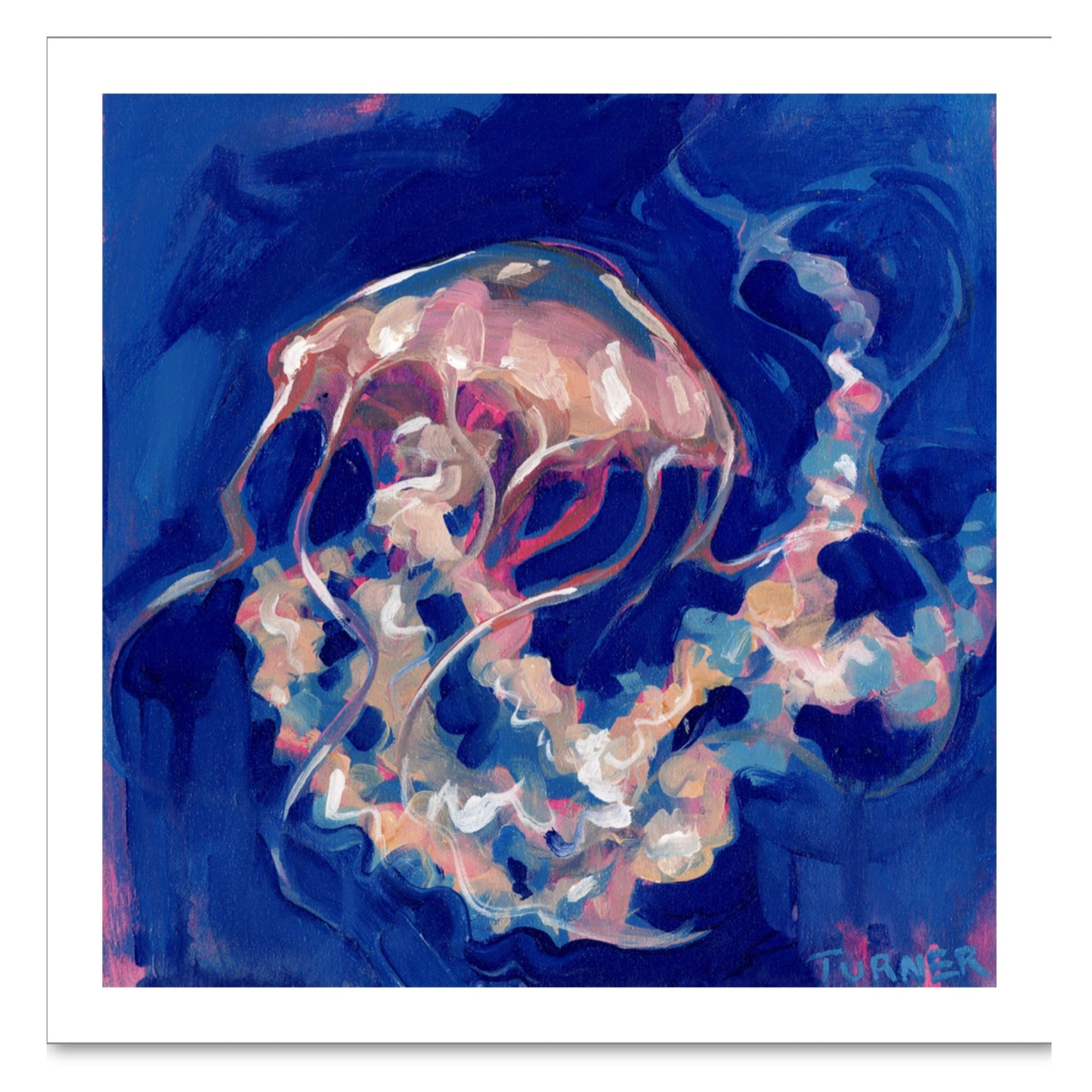 Pacific Sea Nettle - 8 x 8 inch Fine Art Giclee Print